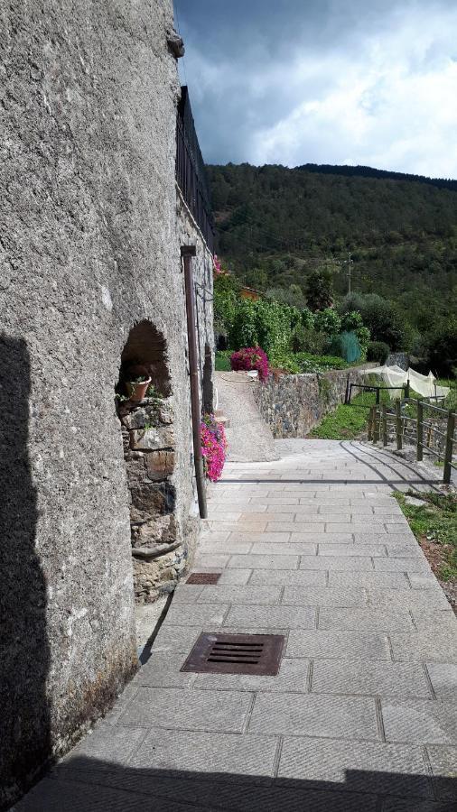 Villa Emma'S House Sasseta Exterior foto